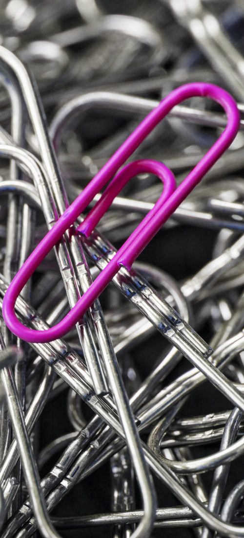A pink paper clip stands out against a textured background of silver paper clips. Concept